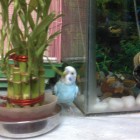 anubhab and sreejesh's twetie bird