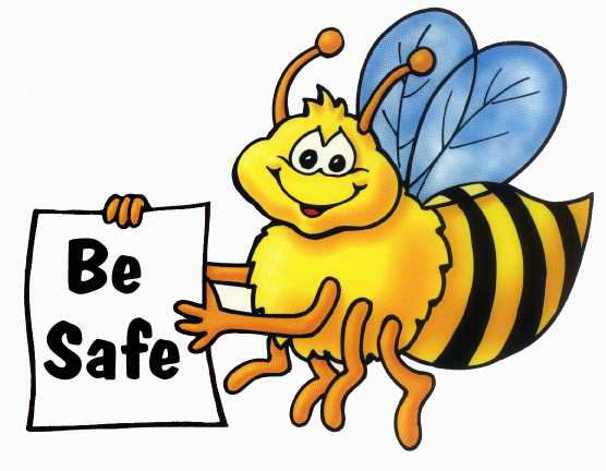 safe web cam bee