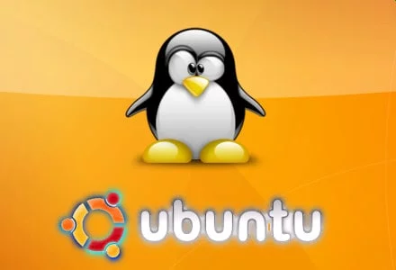 ubuntu penguin and symbol