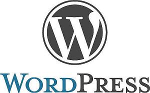 WordPress for Business Websites: Important Tips, Pros & Cons 1