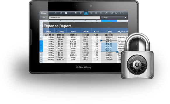 BlackBerry PlayBook Security