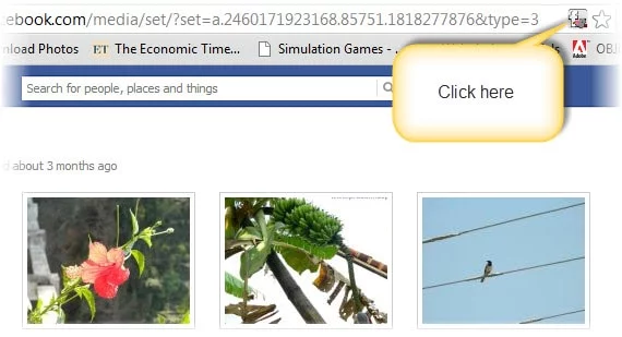 download all photos from facebook album 