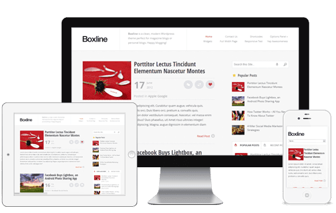 Boxline wordpress theme