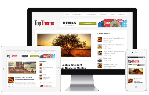 Top-WordPress-Theme