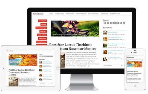 sensational responsive wordpress theme