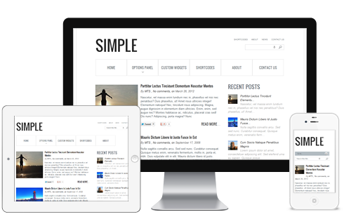 simple-wordpress-theme