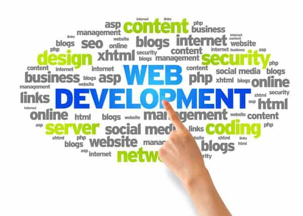 cost of web development