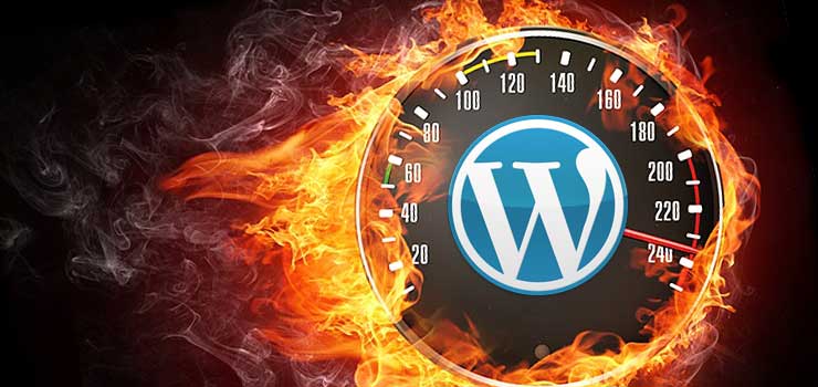 wordpress site optimization : Page Load Speed