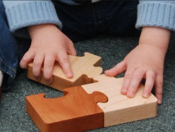 jigsaw puzzle that help children cognitive development