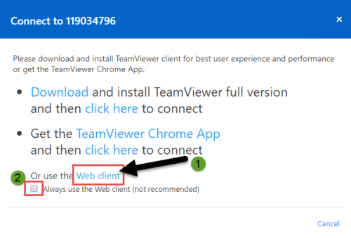 teamviewer link without download windwos