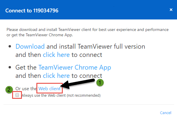 how to use teamviewer online