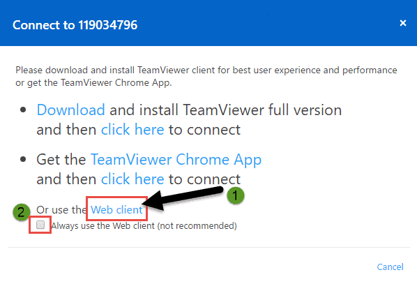 using team viewer