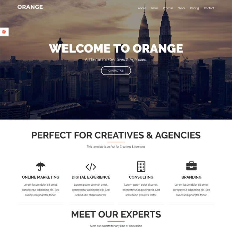 Top 10 WordPress Themes for Startups 9