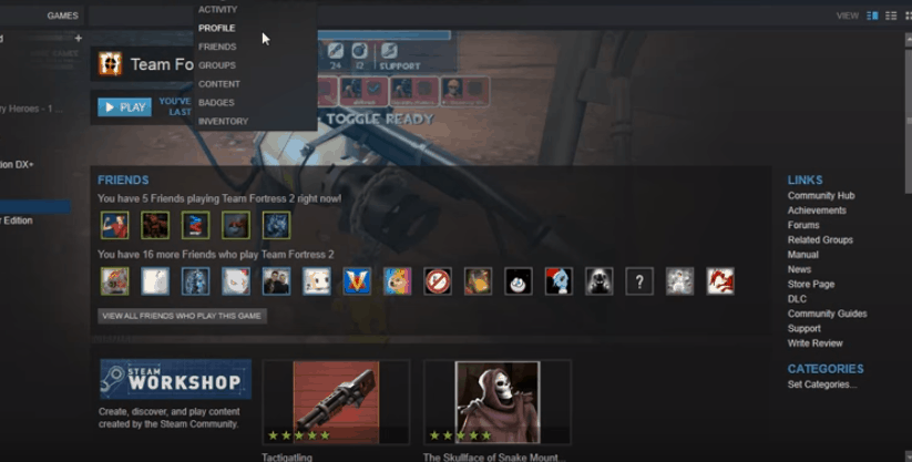 adding Steam Profile Picture