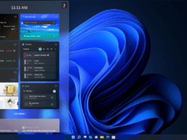 Windows 11's Latest Preview Build